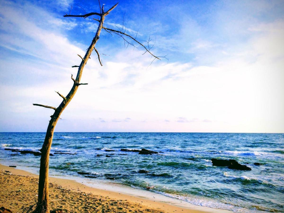 Roise Paradise Phu Quoc Luaran gambar